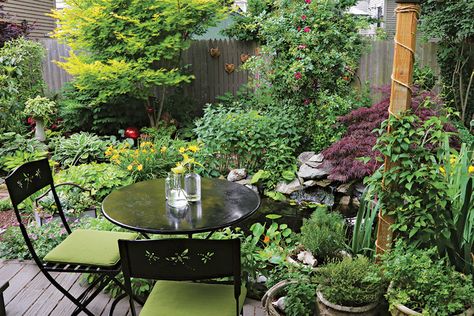 Two Takes on a Courtyard Garden - FineGardening Shady Garden Ideas, Garden Nook Ideas, Walled Courtyard Garden, Flower Bed Decor, Small Backyard Garden Design, Side Yard Landscaping, Garden Nook, Small Courtyard, Small Courtyard Gardens