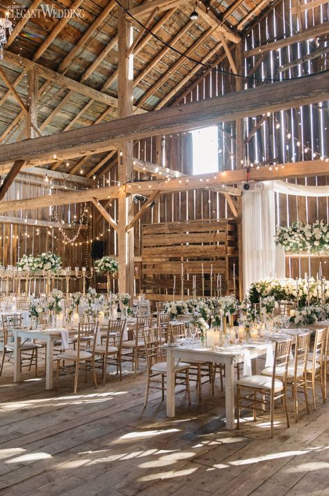 Country Western Wedding, Barn Wedding Inspiration, Fall Barn Wedding, Western Themed Wedding, Lights Photography, Rustic Style Wedding, Barn Wedding Reception, Barn Wedding Decorations, Country Theme Wedding