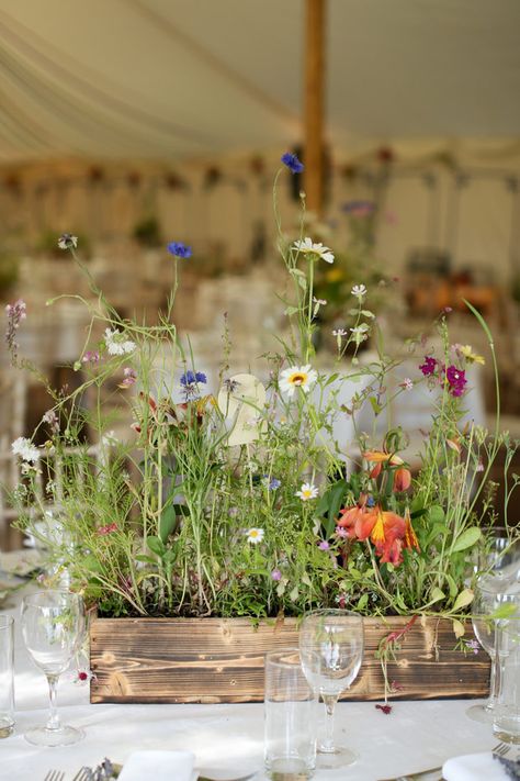 Planters with wildflowers! Would this look nice, or wilty? Oh man it would be SO EASY, and just DONE. Rustique Wedding, Wildflower Centerpieces, Katie White, Centerpieces Rustic, Colour Wedding, Food Events, Colourful Wedding, Rustic Wedding Centerpieces, Flowers And Greenery