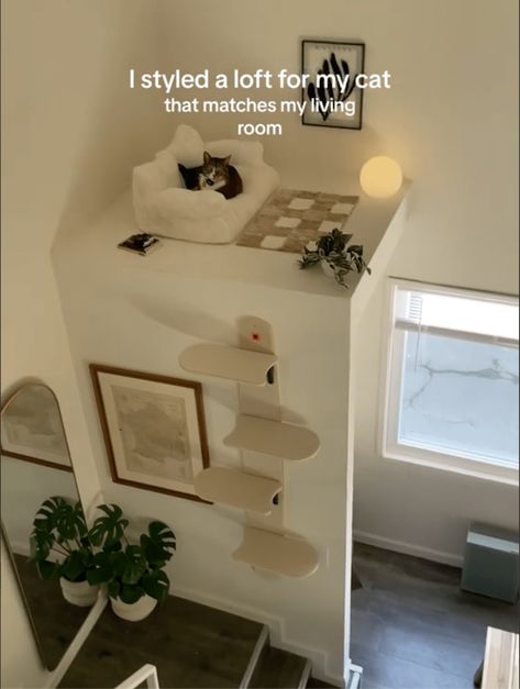 Mini Cat Living Room, Cute Cat Interior Ideas, Cat Wall In Bedroom, Room Inspo Living Room, Tiny Home Cat Ideas, Pet Room Aesthetic, Cat In Small Apartment Ideas, Bedroom With Cat Ideas, Cat Lounge Ideas