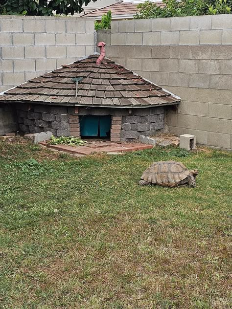 Sulcata Enclosure, Tortoise Home, Outdoor Tortoise Enclosure, Turtle Enclosure, Pet Tortoise, Pond Diy, Petting Farm, Tortoise House, Mr Magoo