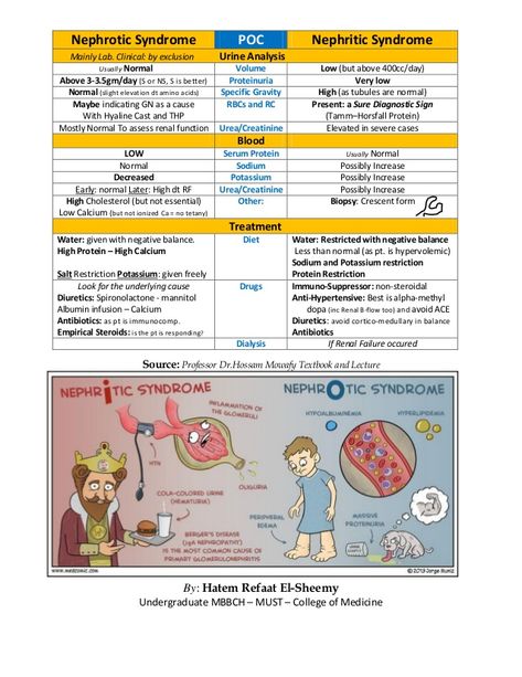 Nephrotic vs nephritic syndrome Nephritic Syndrome, Nursing School Studying Cheat Sheets, Physician Assistant School, Nephrotic Syndrome, Clinical Chemistry, Nursing Study Guide, Medicine Studies, Nurse Study Notes, Nursing Student Tips