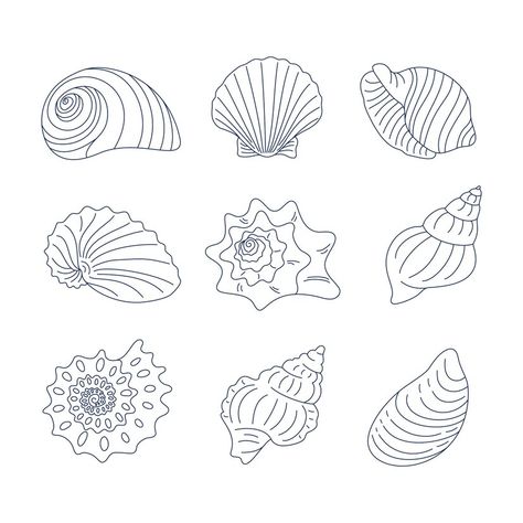 Spiral Seashell Tattoo, Seashell Line Art, Seashell Drawing Simple, Sea Shell Outline, Seashell Illustration Drawing, Shell Line Drawing, Seashells Illustration, Seashell Outline, Seashell Sketch