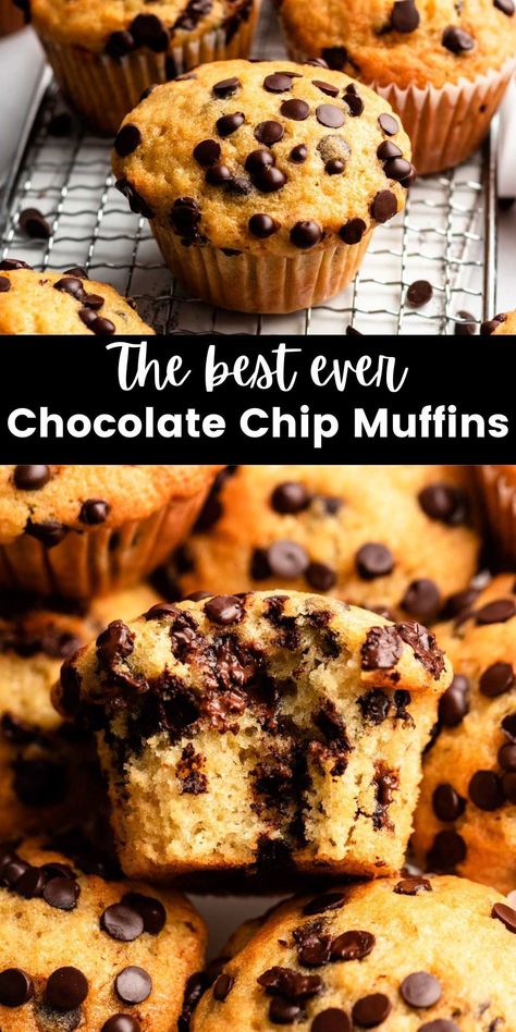 These bakery style chocolate chip muffins are moist and fluffy, have a perfect domed top, and are filled with plenty of melty chocolate chips. Best Chocolate Chip Muffins, Chocolate Chip Muffins Easy, Choc Chip Muffins, Breakfast Chocolate, Chocolate Chip Muffin, Chocolate Chip Muffin Recipe, Moist Muffins, Muffins Breakfast, Banana Chocolate Chip Muffins