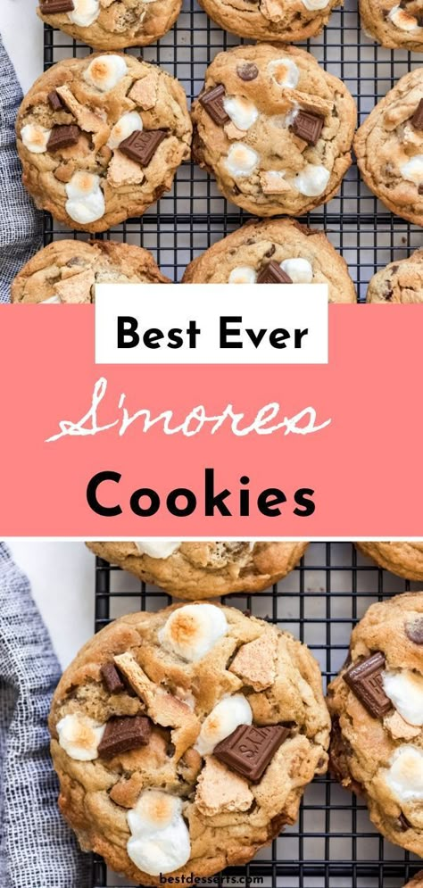 Smores Dessert, S Mores Cookies, Smores Cookies, Gourmet Cookies, S'mores, All The Elements, Best Cookie Recipes, Fun Baking Recipes, Best Desserts