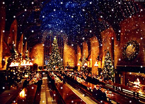 Harry Potter Pc, Harry Potter Places, Hogwarts Great Hall, Hogwarts Christmas, Harry Potter Christmas, Harry Potter Collection, Computer Backgrounds, Wedding Entrance, Bright Pictures