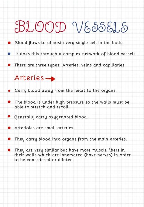 Gcse Revision Help, Gcse Science Notes, Heart Biology Notes, Gcse Science Revision Biology, Gcse Study Notes, Biology Notes Igcse, Gcse Biology Notes, Heart Revision, How To Revise Science