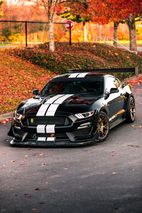 "SKUNKIE by eightlug" Vehicle Profile - S550 Mustangs | The Mustang Forum for Track Enthusiasts - TrackMustangsOnline.com Siyah Mustang, Gt350 Shelby, Kereta Sport, Mobil Mustang, Мотоциклы Harley Davidson, Muscle Cars Mustang, Luxe Auto's, Mustang Wallpaper, Shelby Mustang