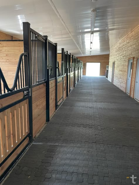 Aesthetic Wall Ideas, Horse In Stable, Horse Farm Layout, Small Stable, Horse Stables Design, Farm Renovation, Dream Barn Stables, Horses Videos, Equestrian Stables