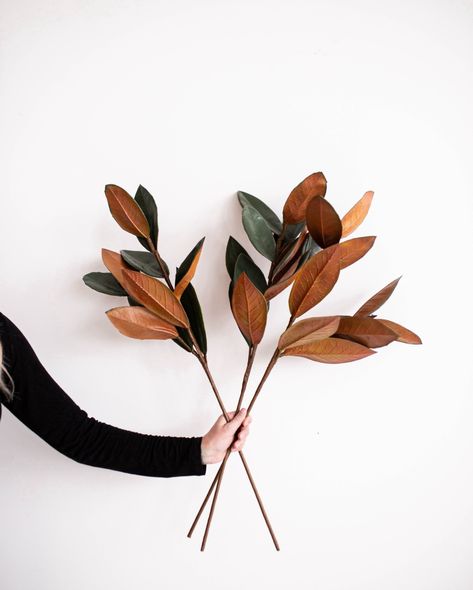 Our large faux magnolia leaves come with flower blooms or without. These faux stems are the perfect way to add a bit of greenery to any room. By going with faux, you have a realistic piece but without the maintenance! Faux Stems, Faux Leaf, Outdoor Gifts, Magnolia Leaves, 40th Gifts, Outdoor Pots, Fusion Mineral Paint, Fall Plants, Mineral Paint