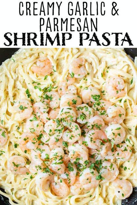 Creamy Garlic Parmesan Shrimp Pasta, Creamy Garlic Shrimp Linguine Recipe, Garlic Parmesan Shrimp Scampi Pasta, Lemon Garlic Parmesan Shrimp Pasta, Garlic Parmesan Shrimp Recipes, Shrimp Scampi With Parmesan Cheese, White Shrimp Pasta, Creamy Garlic Parmesan Shrimp, Creamy Garlic Shrimp Linguine