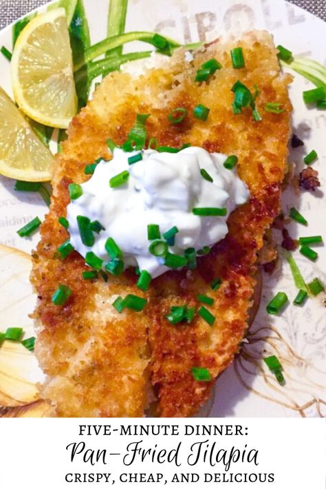 Pan-fried Tilapia - Panko Tilapia Fried, Tilapia Recipes Breaded, Fried Talapia Ideas, Breaded Tilapia Recipes Fried Fish, Tilapia Breaded Recipes, Crusted Talipia Recipes, Tilapia Fried Recipes, Ways To Cook Tilapia Fish, Best Way To Cook Tilapia