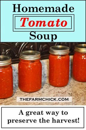 Canning Tomato Soup, Best Homemade Tomato Soup, Winter Chili, Tomato Soup From Scratch, Canning Soup Recipes, Canning Soup, Canning Tomatoes Recipes, Fresh Tomato Soup, Homemade Tomato Soup