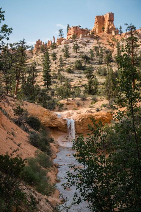 Easy Mossy Cave Waterfall Hike In Bryce Canyon Mossy Cave, Waterfall Cave, Cave Waterfall, Pretty Waterfall, Waterfall Hike, Antelope Island, Waterfall Trail, Waterfall Hikes, Bryce Canyon National Park