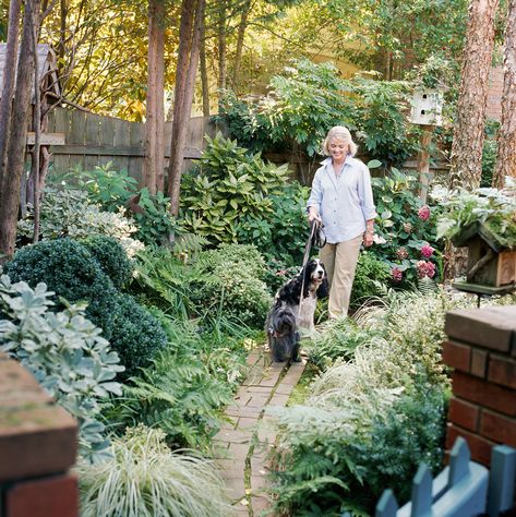 Garden Tour: Groomed for Success | Better Homes & Gardens Shaded Garden Ideas, Central Texas Gardening, Texas Gardens, Front Yard Garden Ideas, Shaded Garden, Shade Loving Shrubs, Texas Landscaping, Texas Plants, Texas Native Plants