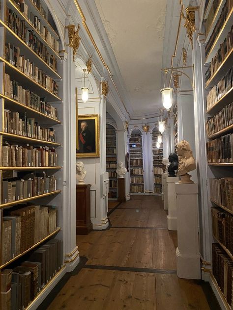 Pretty Libraries, Bookstore Owner, Light Acadamia, Old Money House, Violet Sorrengail, Hawthorne House, School Concept, Rebecca Yarros, Dream Library