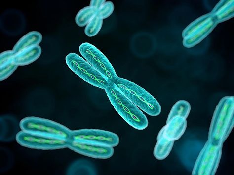 Biology Aesthetic, Mthfr Gene Mutation, Science Aesthetic, Mthfr Gene, X Chromosome, Biology Art, Gene Therapy, Genetic Mutation, Genetic Testing