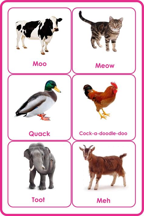 Printable Animals Pictures, Animal Flash Cards Printable, Farm Animals Flashcards Free Printable, Animals And Their Babies Free Printable, Free Printable Animal Pictures, Animal Flashcards Printable Free, Animal Sounds Activity, Printable Animal Pictures, Animals And Their Sounds