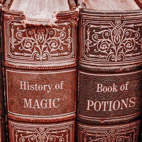 Goth Wizard Aesthetic, Alchemist Aesthetic, Wizard Book, History Of Magic, Potions Book, School For Good And Evil, Christmas Memes, Magic Aesthetic, Season Of The Witch