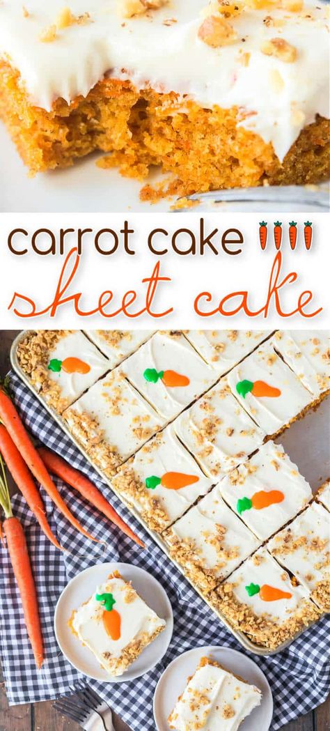 BEST CARROT CAKE SHEET CAKE Carrot Cake Recipe For Easter, Carrot Cake Pie, Bake Sale Cake Ideas, Carrot Cake Desserts, Carrot Cake Sheet Cake, Carrot Sheet Cake Recipe, 600lb Life, Recipe Carrot Cake, Easter Carrot Cake