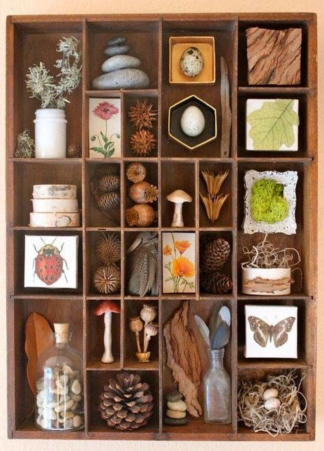 Collected Nature Art Displays Reggio Inspired Classrooms, Koti Diy, Printers Drawer, Instagram Challenge, Printers Tray, Shadow Box Art, Nature Table, Art Organization, Find Objects