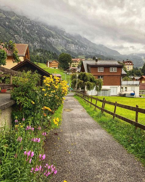 Switzerland Rainy Day, Wengen Switzerland, Two Princes, Rainy Street, Foggy Weather, Pretty Views, Bern Switzerland, Food Hub, Winter Cabin