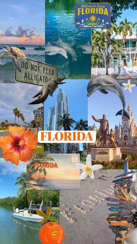 florida you were beautiful & you’ll be missed 🥲#moodboard #florida Positive Body Image Quotes, Body Image Quotes, Positive Body Image, Speed Limit, Body Image, You Are Beautiful, Florida