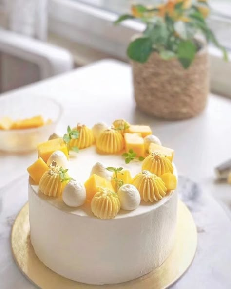 Genoise Sponge Cake, Fruit Cake Design, Asian Cake, Chocolate Cake Designs, Tiny Cakes, Birthday Cake Decorating Ideas, Mango Cake, Gourmet Cakes, Stunning Cakes