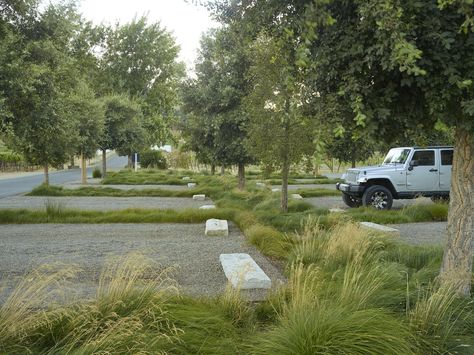 Parking Lot Architecture, Urban Landscape Design, Landscape Elements, Landscape Architecture Design, Rain Garden, Green Park, Salou, Parking Design, City Design