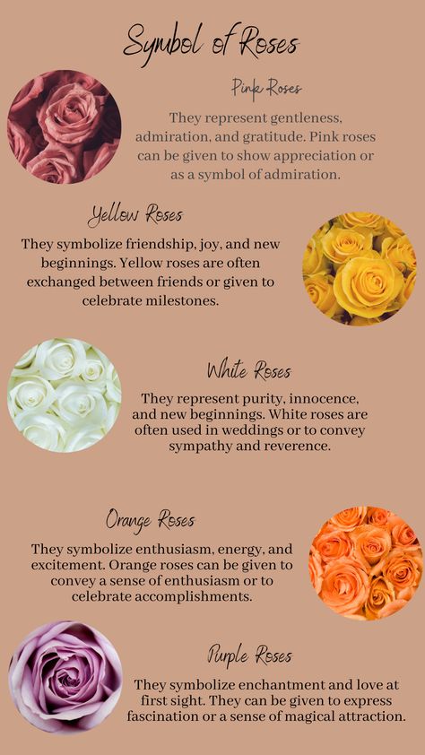 Yellow Rose Symbolism, Orange Rose Meaning, Orange Roses Meaning, Yellow Flowers Meaning, Pink Rose Meaning, Yellow Roses Aesthetic, Red Rose Meaning, Rose Symbolism, Yellow Rose Meaning