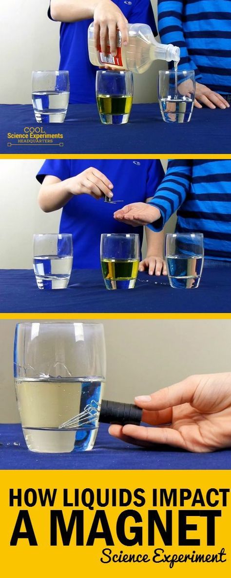 How Liquid Impacts a Magnet Experiment - Steps Magnet Science Experiment, Magnet Science, Projects Science, Science Experience, Magnets Science, Simple Science, Science Club, 4th Grade Science, Magnetic Force