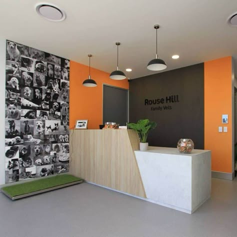 Vet Clinic Color Scheme, Veterinary Clinic Ideas Reception Desks, Vet Lobby Ideas, Vet Waiting Room Ideas, Veterinary Interior Design, Vet Interior Design, Fear Free Veterinary Design, Modern Vet Clinic, Vet Clinic Ideas Design