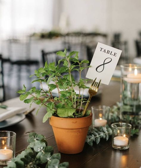 Herbs Decoration Ideas, Non Traditional Table Numbers, Terracotta Wedding Inspiration, Herb Table Setting, Terracotta Pot Wedding Centerpiece, Terracotta Pot Wedding Decor, Wedding Terracotta Pots, Botanical Wedding Ceremony, Flower Pot Table Centerpieces