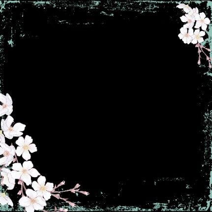 Capcut Frame Overlay, Birthday Edit Overlay, Gothic Overlays For Edits, Y2k Border Design, Editing Border Overlay, Cute Borders For Edits, Flowers Png For Editing, Lace Overlay For Edit, Edit Overlay Border