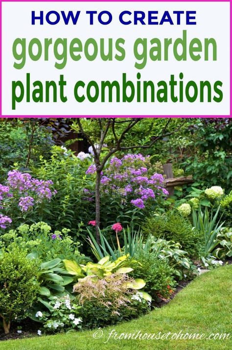 Garden Wallpaper, Have Inspiration, Garden Plans, Plant Combinations, Garden Yard Ideas, Garden Borders, Flower Gardens, Perennial Garden, Gardening Landscaping