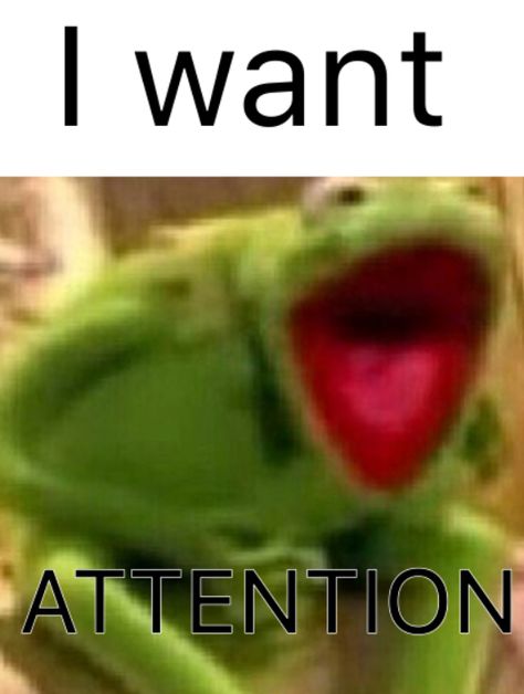 I Want Attention Funny, Give Me Attention Cute, I Need Attention Reaction Pic, Give Me Attention Funny, I Want Attention Reaction Pic, Attention Reaction Pic, Give Me Attention Reaction Pic, I Need Attention Meme, Things To Make Your Friends