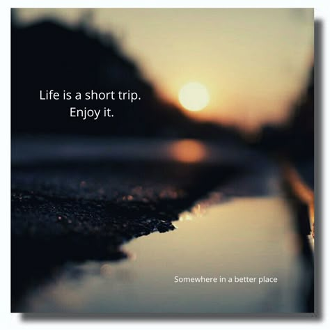 Its Only A Short Trip Enjoy It Quote, Life Is A Short Trip Quote, Life Is Short Enjoy It, Enjoy Life Quotes Short, Life Is Short Quotes, Life Is A Trip, Cute Qoutes, Life Is Short Live It, Enjoying Life Quotes