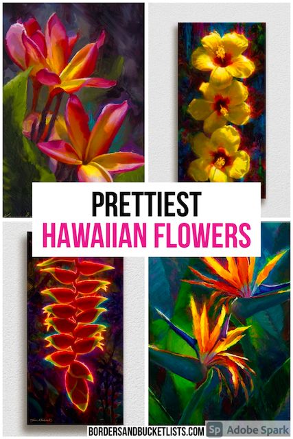 A Local’s Guide to the Prettiest Hawaiian Flowers | Borders & Bucket Lists Hawaii Flower Painting, Hawaii Flowers Wallpaper, Hawaiian Flowers Drawing, Hawaii Gardening, Hawaii Drawing, Flowers Of Hawaii, Hawaii Hibiscus Flower, Heliconia Plant, Island Flowers