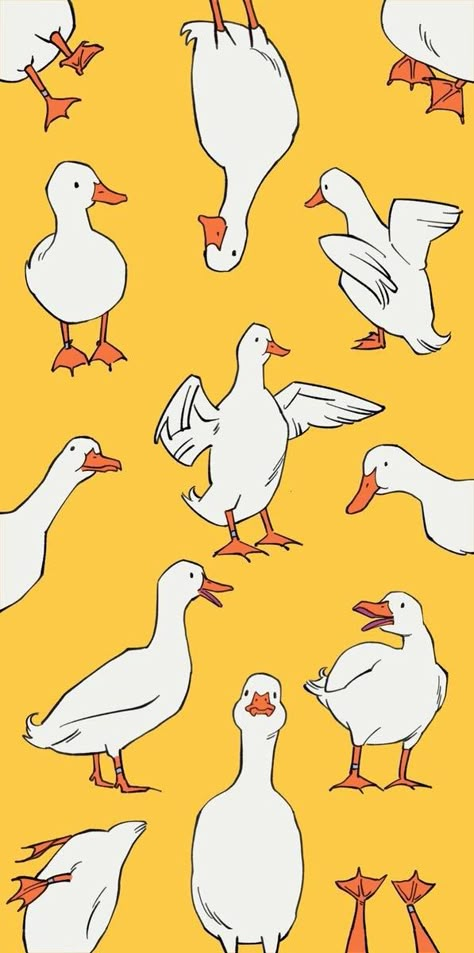 Goose Illustration Drawings, Ducks Drawing Cute, Duck Drawings Cute, Duck Drawing Reference, Silly Duck Drawing, Buff Duck Drawing, How To Draw Ducks, How To Draw Duck, Duck Illustration Cute