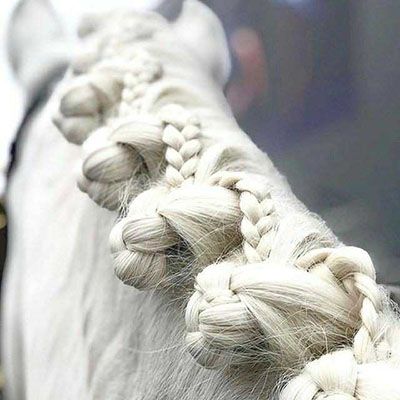 Horse Hair Styles, Classy Equestrian, Horse Hair Ideas, Horse Hairstyles, Mane Braids, Horse Mane Braids, Horse Braids, Plaits Braids, Horse Hair Braiding