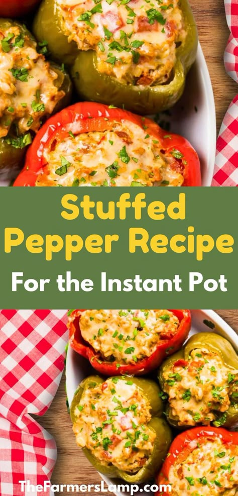 two green and two red stuffed peppers in a white serving dish with red gingham tablecloth beside it with words written that read stuffed pepper recipe for the instant pot the farmers lamp dot com Stuffed Bell Peppers Instant Pot, Cabbage And Peppers, Pressure Cooker Cabbage, Recipes Stuffed Peppers, Instant Pot Stuffed Peppers, Stuffed Pepper Recipes, Easy Stuffed Pepper Recipe, Easy Stuffed Peppers, Mexican Quinoa