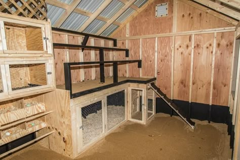 Cheap Ways To Insulate Chicken Coop, 8x8 Chicken Coop Interior, Chicken Rabbit Coop Combo, Chicken Coop Brooder Ideas, Poop Shelf Chicken Coop, Chicken Coop With Brooder, Brooder Box Inside Chicken Coop, Inside Chicken Coop Ideas, Brooder Inside Chicken Coop