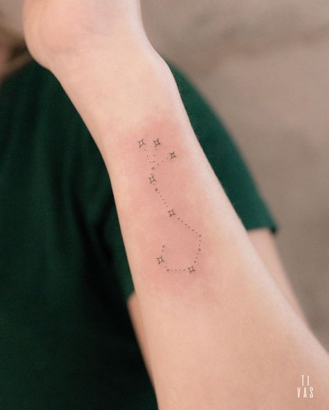 Scorpius Constellation, Euphoria Tattoo, Scorpio Tattoos, Scorpio Constellation Tattoos, Scorpio Constellation, Simple Arm Tattoos, Astrology Tattoo, Full Tattoo, Scorpio Tattoo