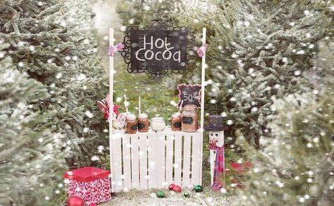 Christmas Mini Sessions Outdoor, Mini Session Themes, In Studio Photography, Cocoa Stand, Hot Cocoa Stand, Bluffton South Carolina, Creamy Background, Holiday Mini Session, Christmas Photography Backdrops