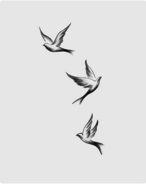 3 Birds Tattoo Men, Birds Flying Tattoo Men, 3 Doves Tattoo, Small Birds Tattoo Design, Flying Bird Tattoos, Flying Birds Tattoo, 3 Birds Tattoo, Start Tattoo, Line Art Bird