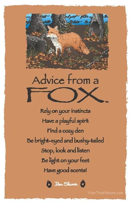 Visit the post for more. For Fox Sake, Wood Badge, Totem Animals, Animal Spirit Guides, Fox Sake, Art Fox, What Does The Fox Say, Fox Spirit, Animal Spirit