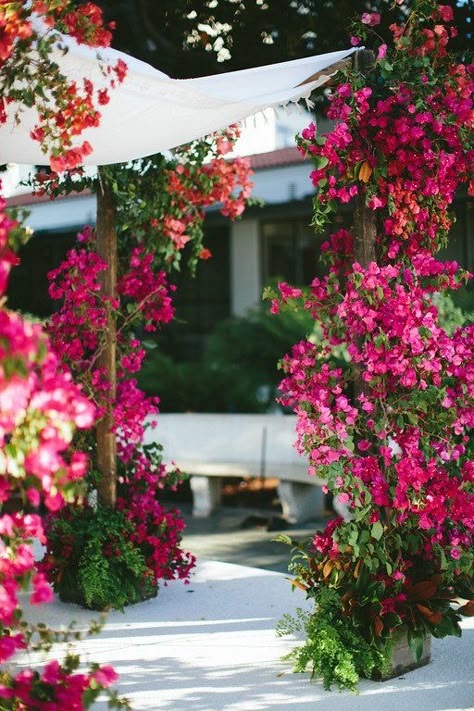 Flower Scapes, Vertical Garden Flowers, Flower Wedding Arch, Floral Chuppah, Tropical Garden Party, Bougainvillea Wedding, Fuschia Wedding, Wedding Chuppah, Colorful Arrangements