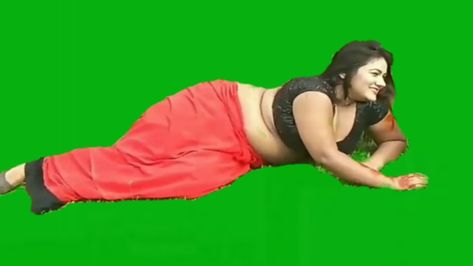 Camera Green Screen, Png Camera, Camera Logo Design, Green Screen Video Effect, Green Screen Photo, Fish Gallery, Green Screen Footage, Wedding Background Images, Youtube Editing