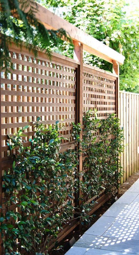 Landscape Edging Stone, Privacy Landscaping Backyard, Yard Privacy, Privacy Ideas, Garden Privacy Screen, Patio Privacy, Privacy Landscaping, Garden Privacy, Lattice Fence