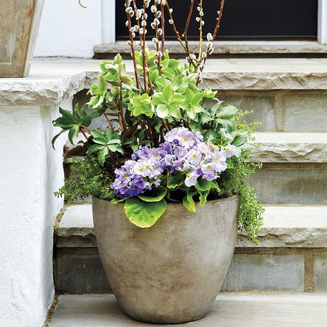 Stylist Sasha Seymour creates containers with unexpected plant combinations to dress up your garden for summer. Fall Container Plants, Front Door Planters, Planter Arrangements, Fall Container Gardens, Spring Planter, Container Garden Design, Patio Pots, Fall Planters, Spring Outdoor